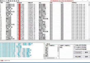 圈客王大数据采集系统 精准赋能，商家信息采集的新引擎